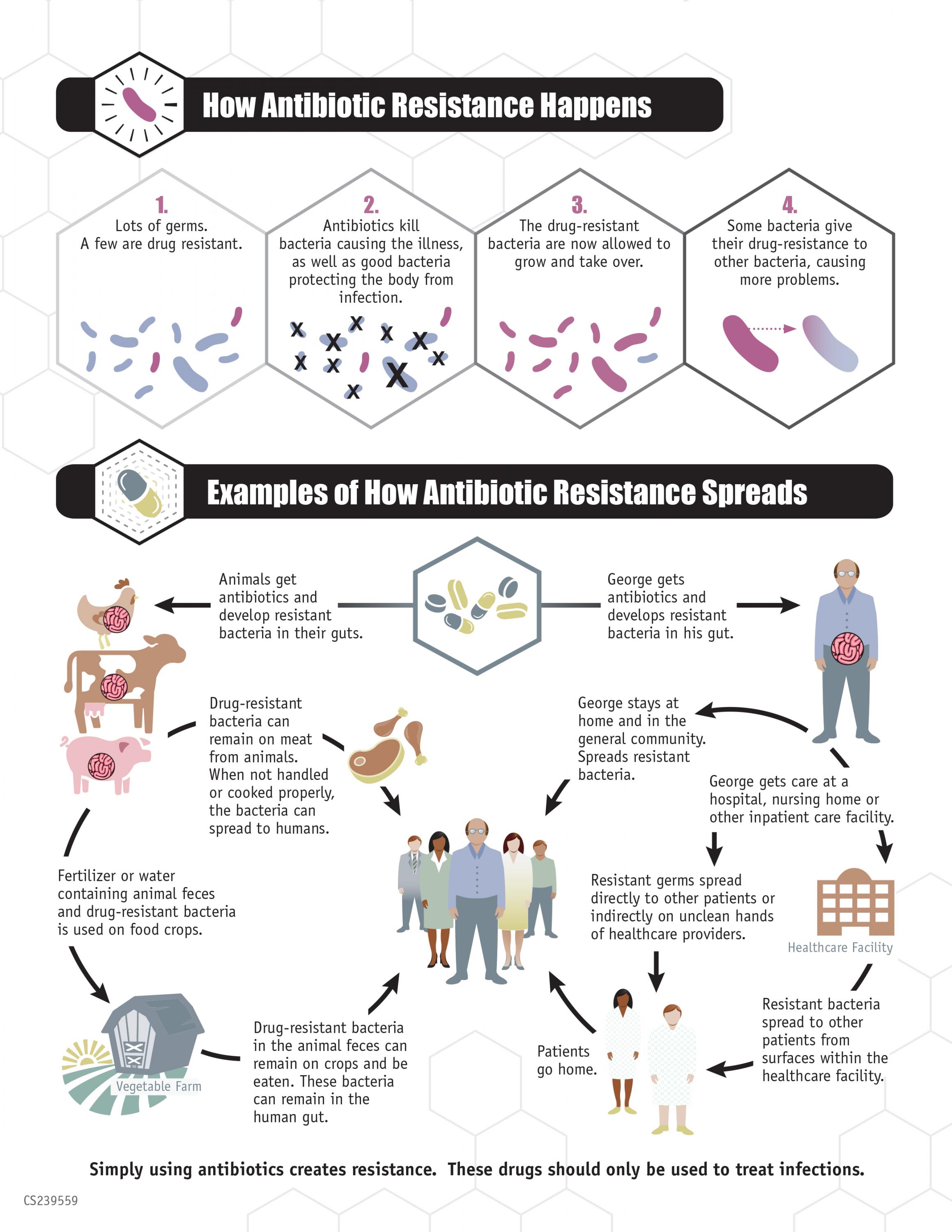 Evolution of bacterial resistance to antibiotics