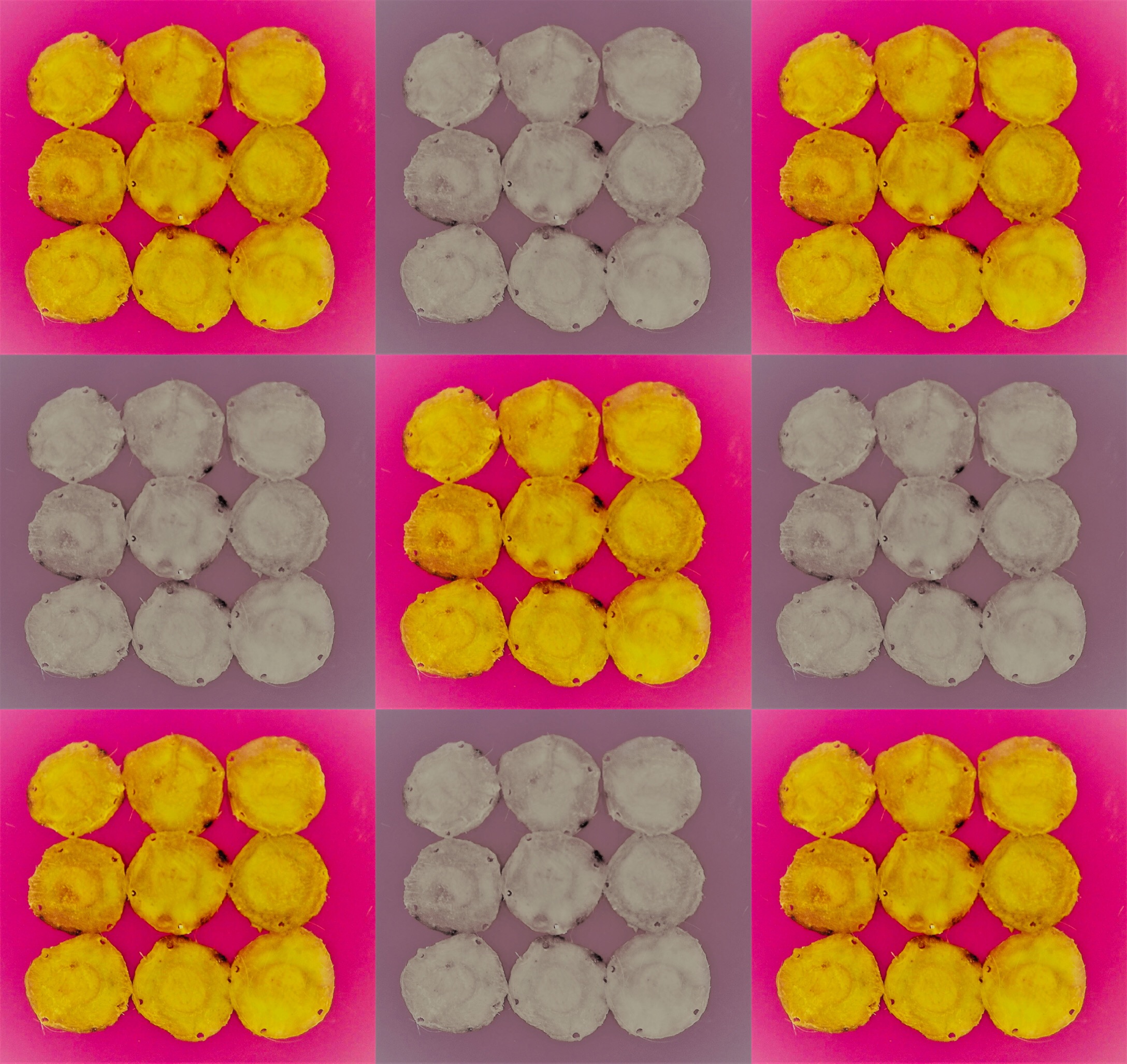 Fluorescein Fields Forever (c) Juan Mena and Veronica Montgomery