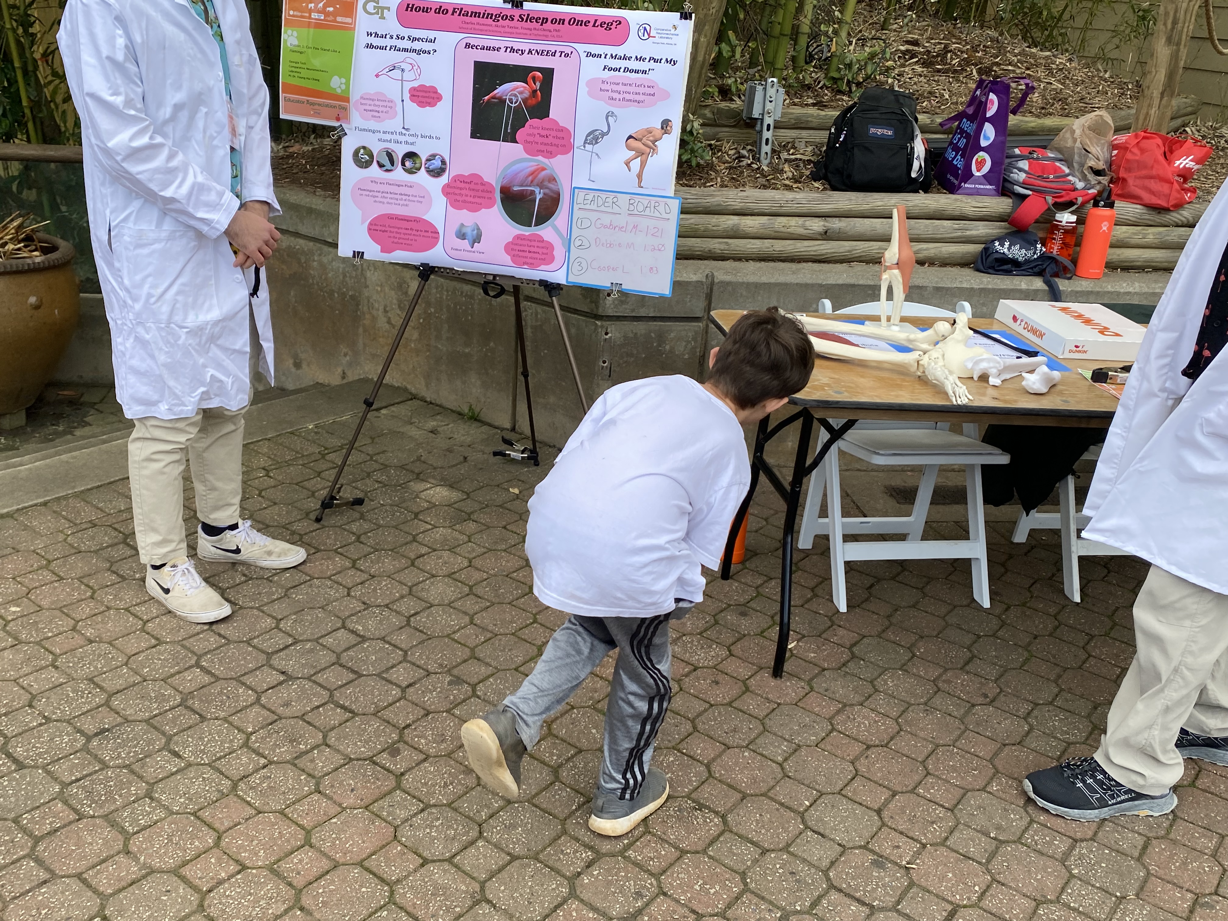 Hank Zapple, 7, demonstrates how flamingos stand on one leg at Zoo Atlanta during the Atlanta Science Festival. (Photo Renay San Miguel)