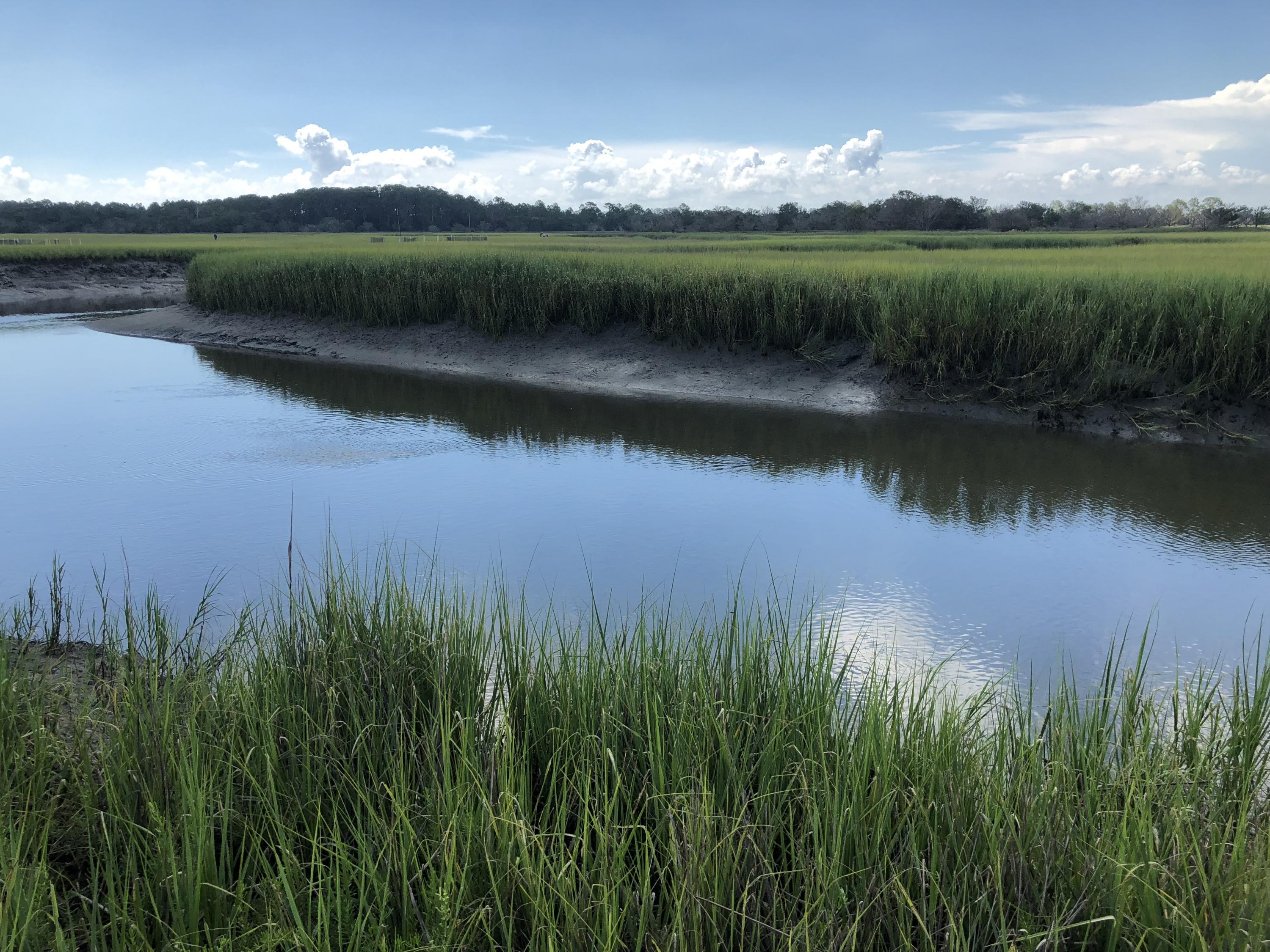 Dean Creek off of Lighthouse Road at low tide on Sapelo Island near Georgia's coast.  (Photo Joel Kostka)