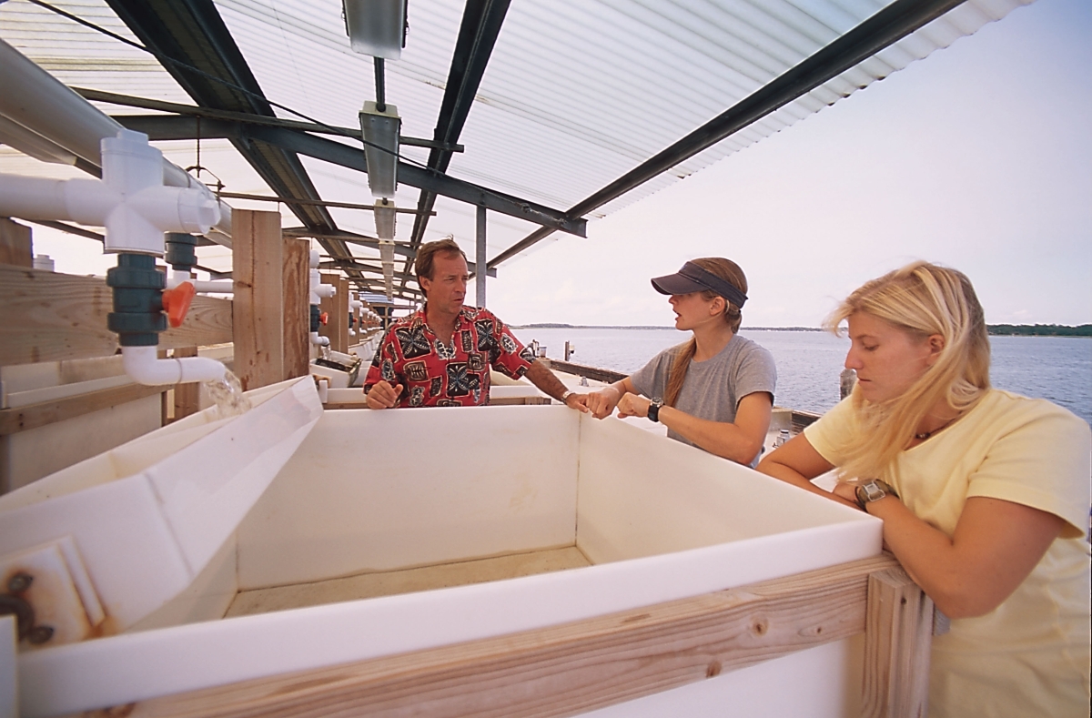 Biology professor Mark Hay and students conducting research at Skidaway Island.