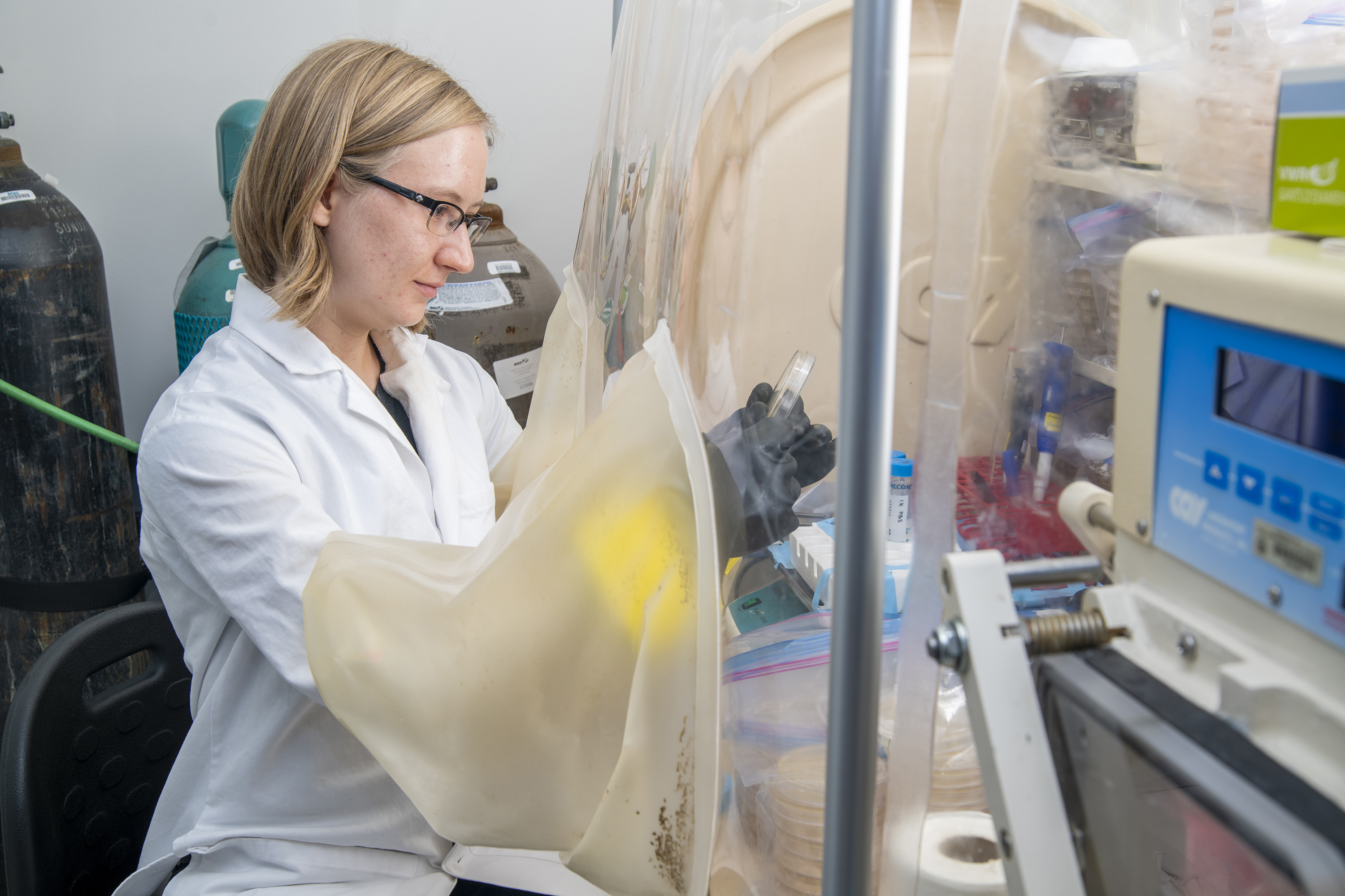 Anoxic chamber for anaerobic bacterial study