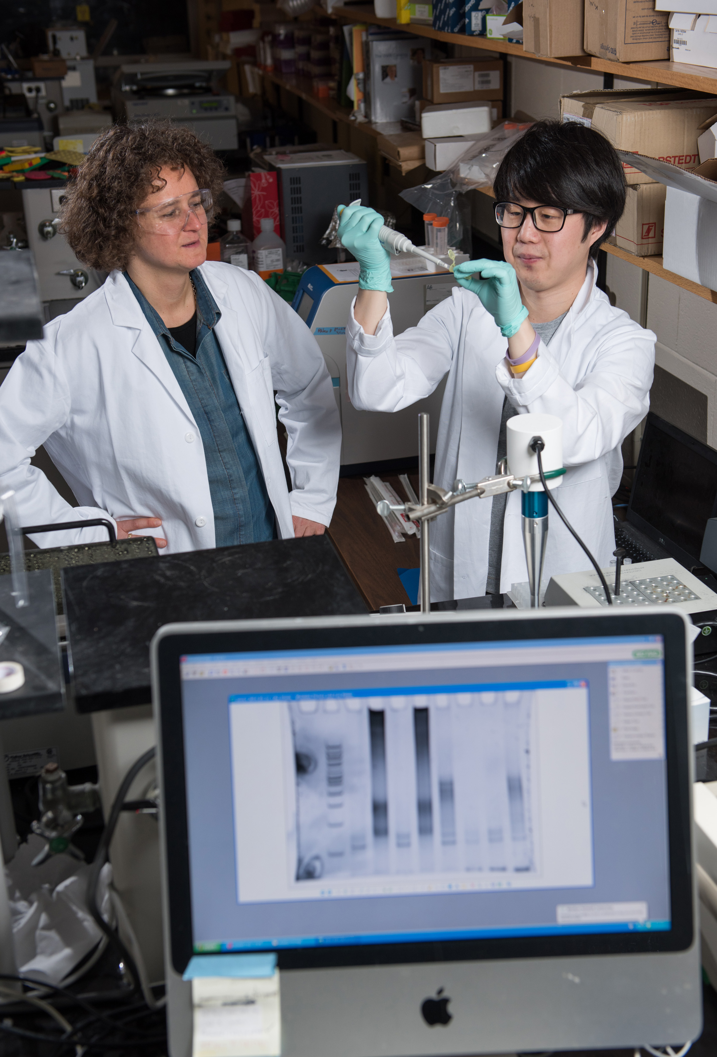 Ribose-seq identifies ribonucleotides