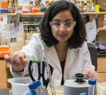 Natalie Saini, PhD candidate from the lab of Kirill Lobachev, PhD Natalie Saini, PhD candidate from the lab of Kirill Lobachev, PhD