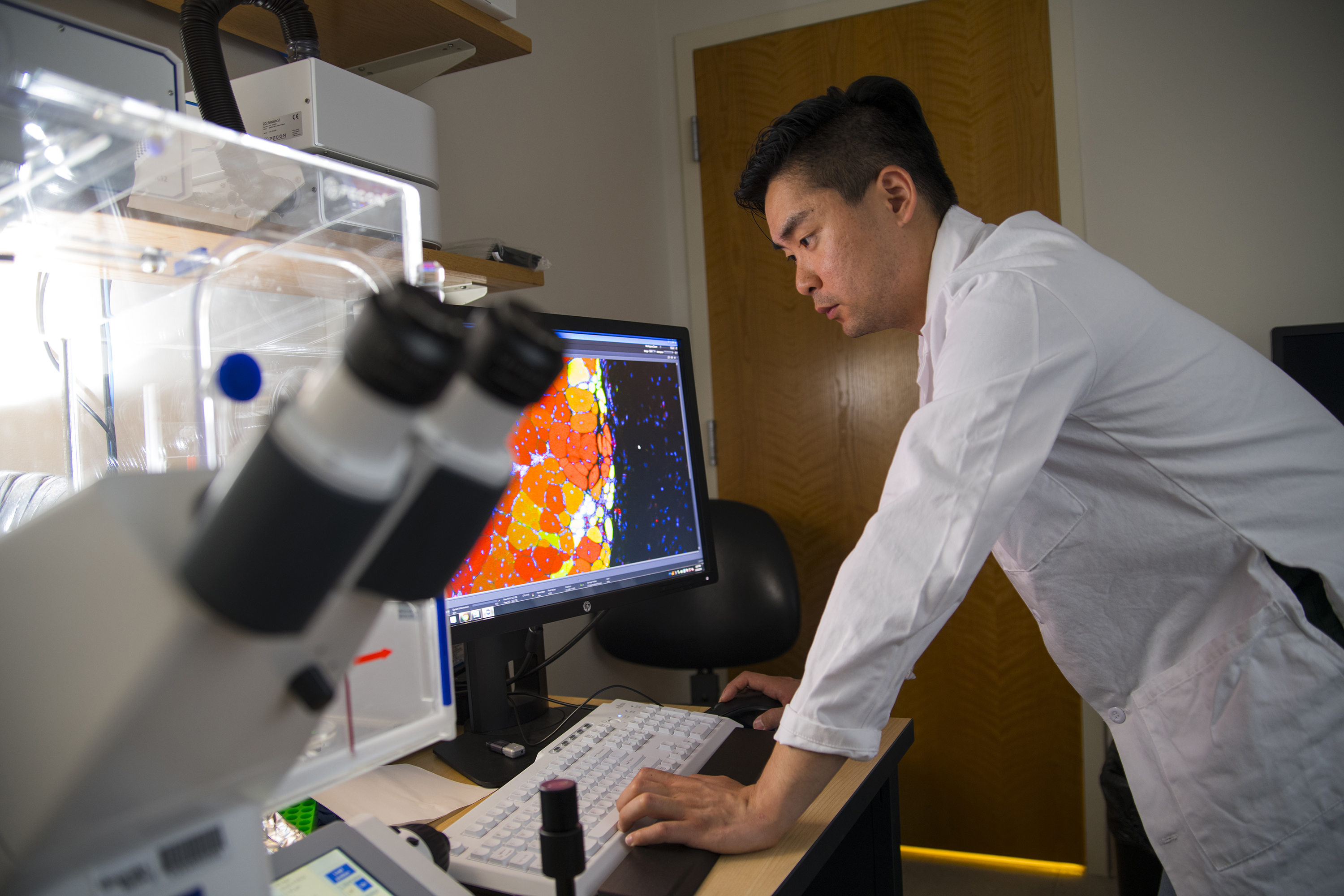 Woojin Han observes muscle tissue in Young Jang's lab